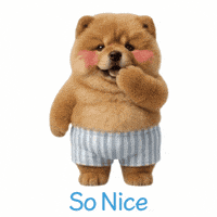 riro_chowchow かわいい 犬 いいね はっぴ GIF