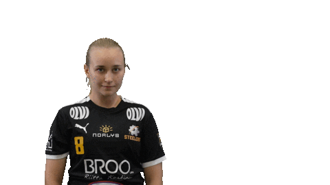 Pittsburgh Steelers Floorball Sticker by F-liiga
