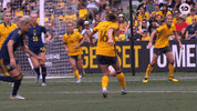 Hayley Raso Trick GIF by Football Australia