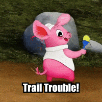 Hiking GIF by The Pigasso