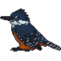 Chile Martin Sticker