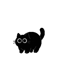 Cat Omg Sticker by PRISM Live Studio