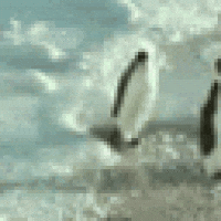 abuse GIF
