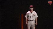 Bsb GIF by CUCougars
