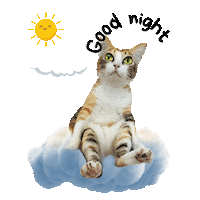 Good Night Moon Sticker