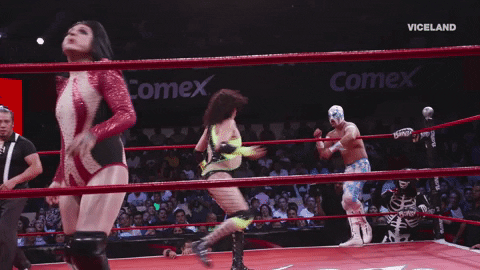 lucha libre win GIF by THE WRESTLERS