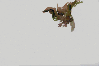 animation art GIF by Will Kim