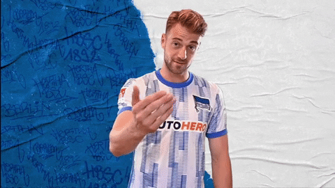 Bundesliga Berlin GIF by Hertha BSC