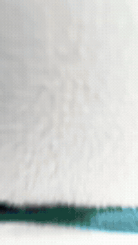 Cutie Plushie GIF by Youtooz