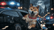 Shiba Inu Sirens GIF by DogeGF
