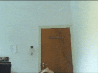 Rise Revive GIF