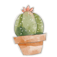 Plant Cactus Sticker