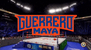 Lucha Libre Wwe GIF by Guerrero Maya