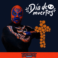 Lucha Libre Wwe GIF by Guerrero Maya