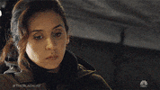 the blacklist eyebrows GIF by NBC