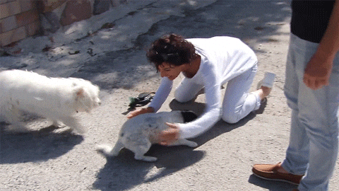 Licking Bed And Breakfast GIF by RTL