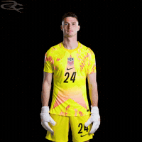 Fifa World Cup Usa GIF by Respective