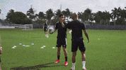 Major League Soccer Mls GIF by NYCFC