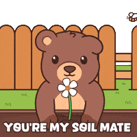 Teddy Bear Flower GIF by BEARISH