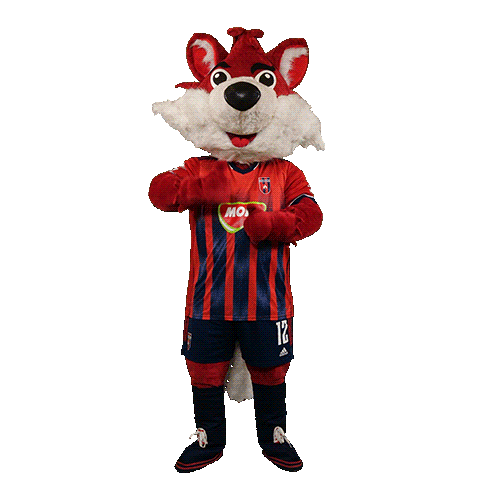 molfehervarfcgif giphyupload fox roka vidi Sticker