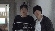 Dumb And Dumber What GIF