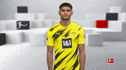 Posing Line Up GIF by Bundesliga