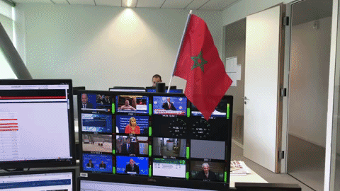 GIF by euronews