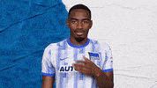 Goal Bundesliga GIF by Hertha BSC