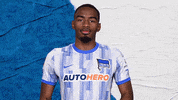 Bundesliga Boss GIF by Hertha BSC