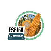 Forseedsementes Sticker by Longping High Tech