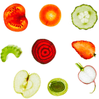 rabobank rabobank renskroes rabo food forward Sticker