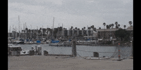 Education Vocabulary GIF by DIIMSA Stock