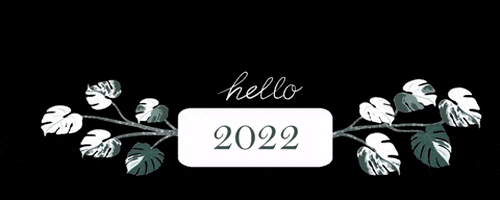 Happy New Year Bonne Annee GIF by Monstera Mania