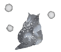 Cat Sticker