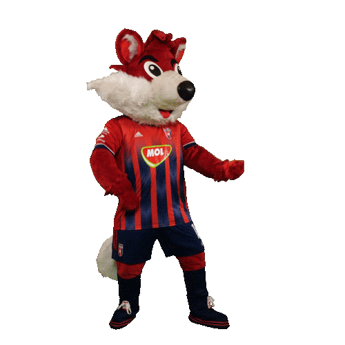molfehervarfcgif giphyupload fox vidi roka Sticker