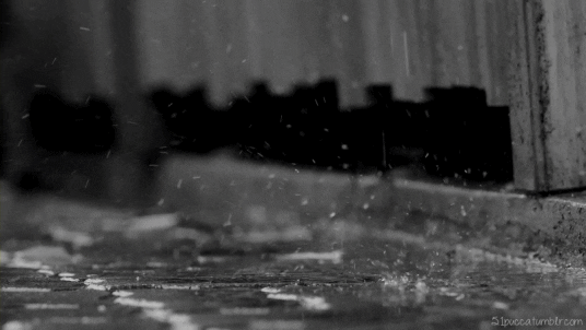 rainy GIF