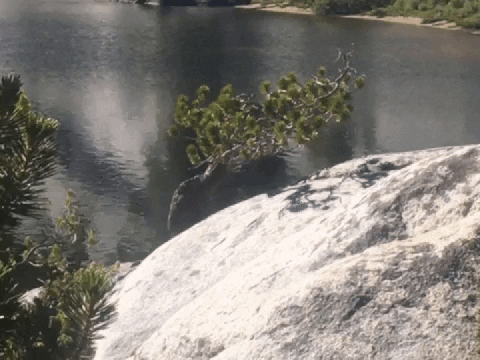 Cinemagraph GIF by Justin