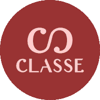 classeoficial moda beleza bags acessorios Sticker