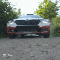 FIA-ERC crash poland problem cosmetic GIF