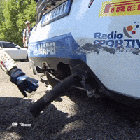 Erc GIF by FIA European Rally Championship