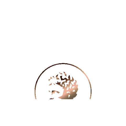 DracmaCapital giphygifmaker Sticker