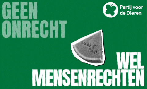 Pvdd Dierenrechten GIF by Partij voor de Dieren