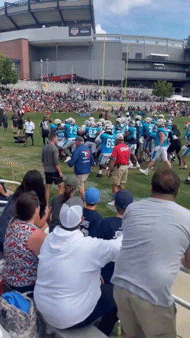 Fan Injured During Brawl at Patriots-Panthers Football Practice in Massachusetts