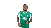 Bundesliga Mbom Sticker by SV Werder Bremen