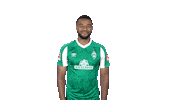 Bundesliga Mbom Sticker by SV Werder Bremen