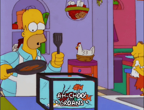 homer simpson GIF