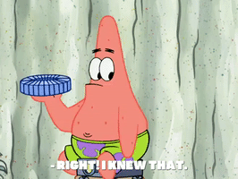 season 8 spongebob's runaway roadtrip: patrick's staycation GIF by SpongeBob SquarePants