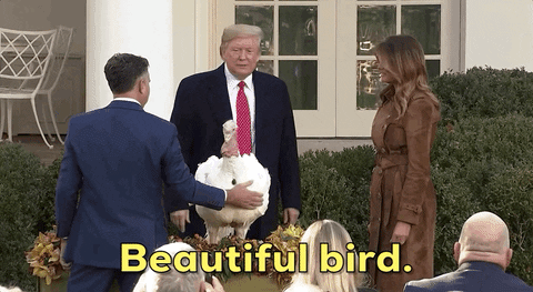 Donald Trump Thanksgiving GIF