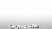 TheKotel הכותל western wall הכותל המערבי the kotel GIF