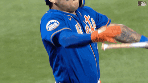 Celebrate Major League Baseball GIF by New York Mets